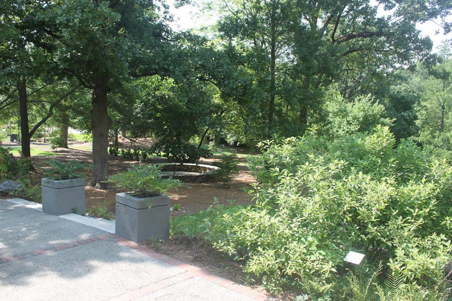 Donald E. Davis Arboretum, United States